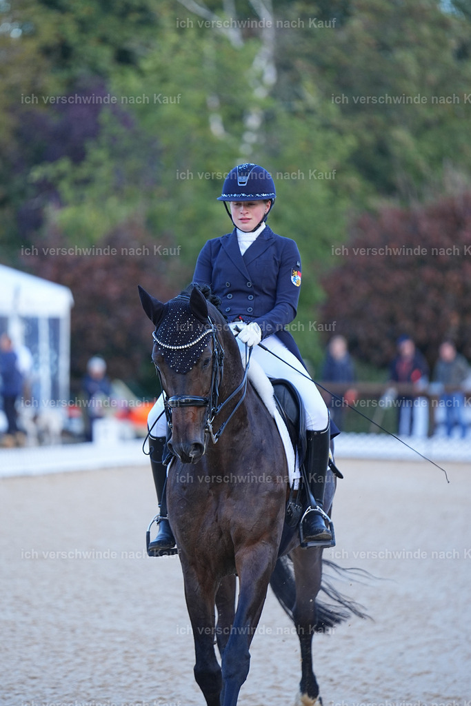 09_1-056-DRESSUR  S_  -Marixx-5634 | working equitationturnier fotograf videograf stoibphotography marixx film working equitation deutschland reitsport turnierfotografie eventfotografie equestrian events