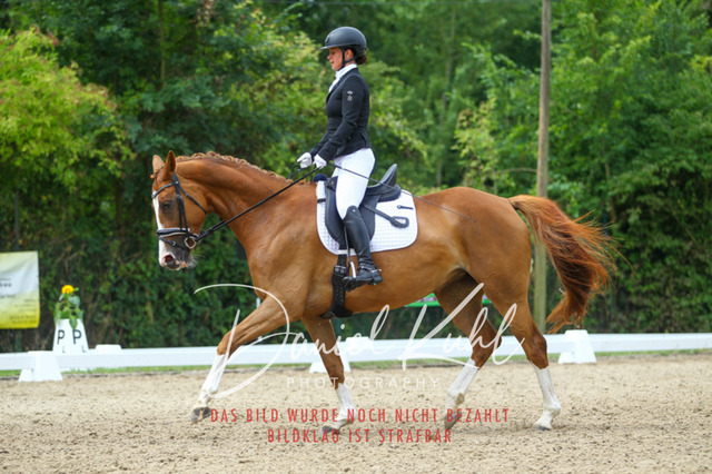 DKP40493 | Turniersportfotografie; Pferdefotografie; Dressurfotografie