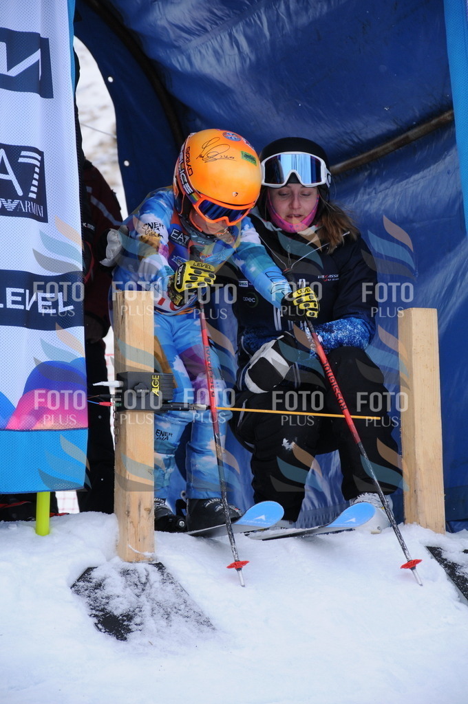 DSC_8340 | holidayphoto