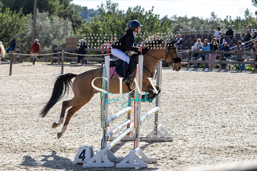 IMG_0487 | s-jay-photography - Realisiert mit Pictrs.com