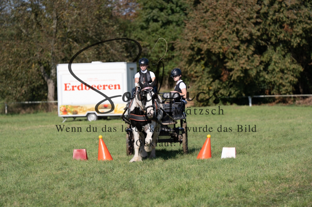 A7V04373 | Pferdefotograf