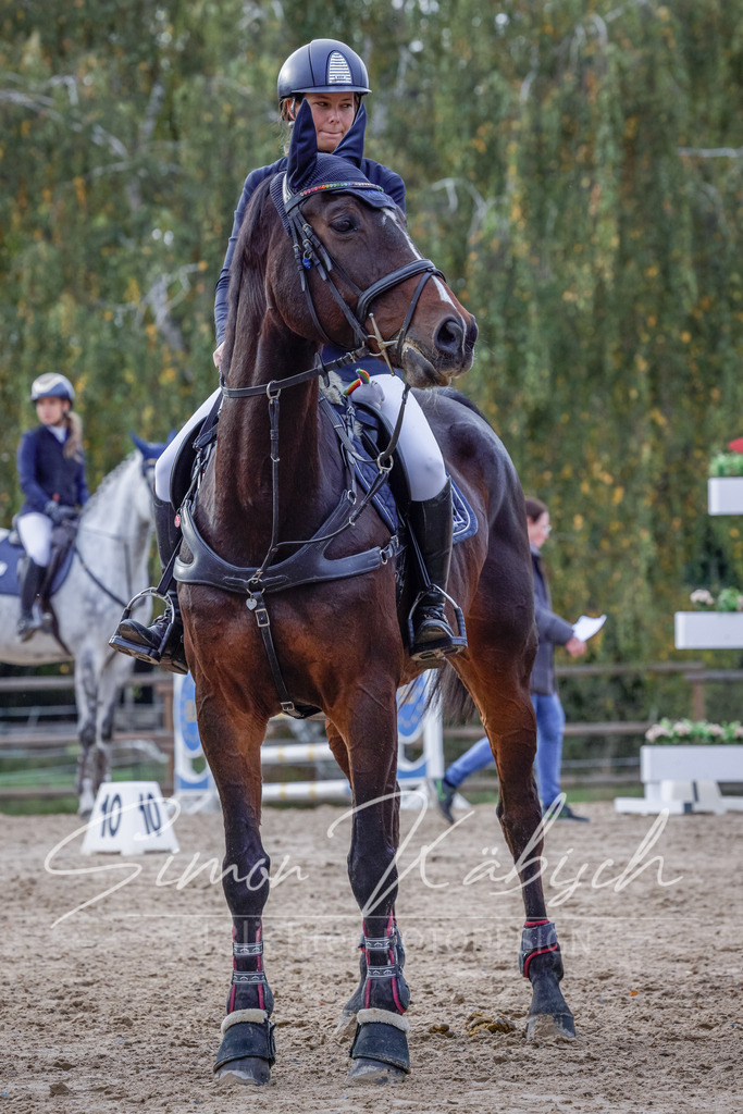 20251012-_3LI5350 | Tierfotografie Pferde, Hunde, Katzen, Haustiere.
Turnierfotografie Reitturniere, Reiten, Springreiten, Dressur in Hanau, dem Main-Kinzig-Kreis und dem Rhein-Main- Gebiet um Frankfurt