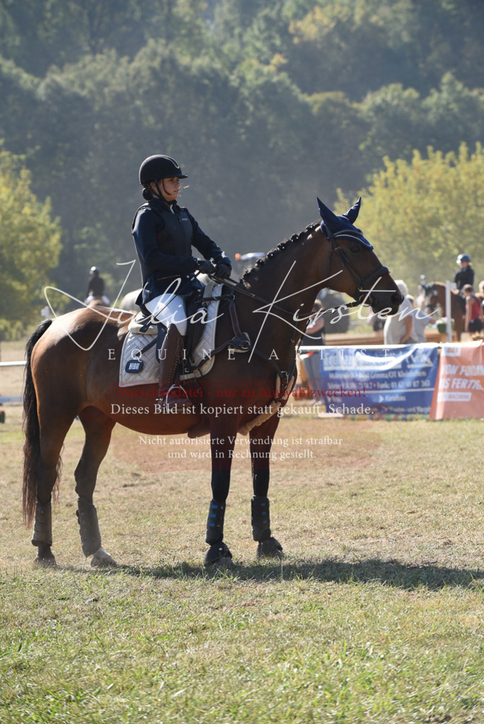 DSC_5970 | Pferde- und Turnierfotografie in Westsachsen. Pferdeportraits, Auftragszeichnungen und intuitive Kunst.