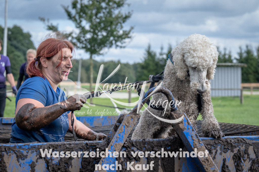 1424_ZZ92233 | kk-dogfotos