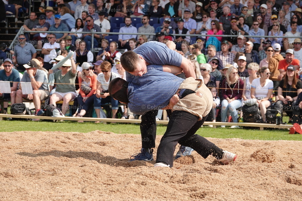 DSC04517 | Schwingen - Realisiert mit Pictrs.com