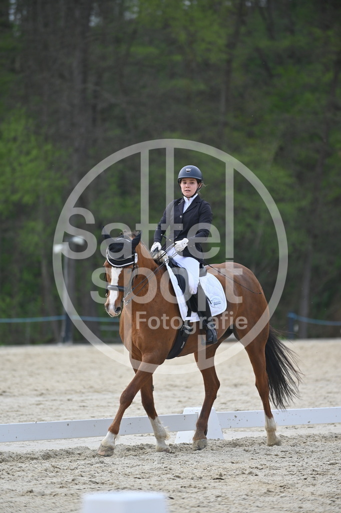 DSC_4834 | sattelsport - Realisiert mit Pictrs.com