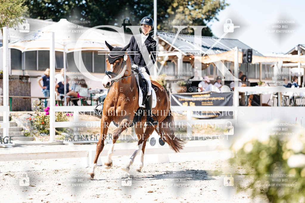 CK900515 | Turnierfotografie Pferdefotografie Trier Rheinland-Pfalz Pferdesport Reitsport Tierfotografie Sportfotografie Pferdevideo Pferdevideografie Equestrianvideography equestrianphotography  - Realisiert mit Pictrs.com