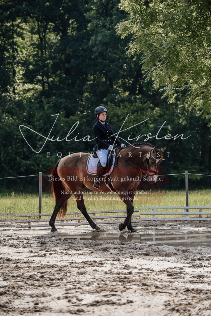 DSC_9210 | Pferde- und Turnierfotografie in Westsachsen. Pferdeportraits, Auftragszeichnungen und intuitive Kunst.