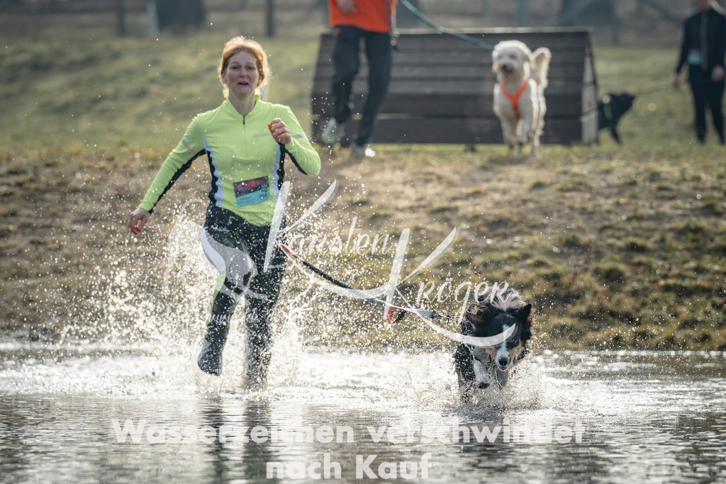0950_ZZ94110 | kk-dogfotos