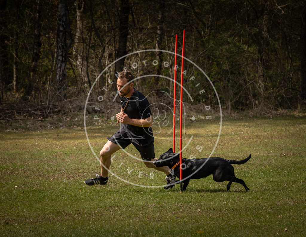 Pfotenfotografie_DV3A4351 | Hundefotografie, Tierfotograf, Pfotenfotografie, Fotoshooting Hund, Hunde Portrait, Hundesport, Hundeportraits, Heideshooting, Hunde, Sportfotograf, Hundefotograf, Turnierhundsport, THS,  - Realisiert mit Pictrs.com