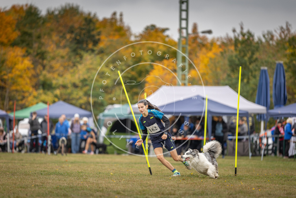 Pfotenfotografie_DV3A5152 | Hundefotografie, Tierfotograf, Pfotenfotografie, Fotoshooting Hund, Hunde Portrait, Hundesport, Hundeportraits, Heideshooting, Hunde, Sportfotograf, Hundefotograf, Turnierhundsport, THS,  - Realisiert mit Pictrs.com