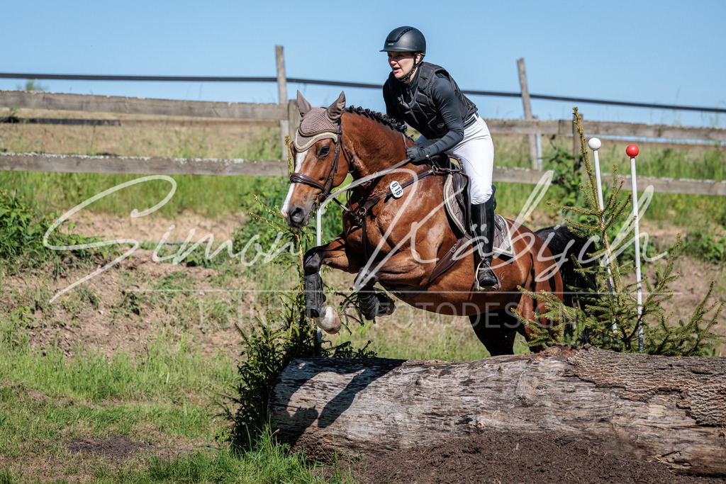 20260523-_3LI6833 | Tierfotografie Pferde, Hunde, Katzen, Haustiere.
Turnierfotografie Reitturniere, Reiten, Springreiten, Dressur in Hanau, dem Main-Kinzig-Kreis und dem Rhein-Main- Gebiet um Frankfurt