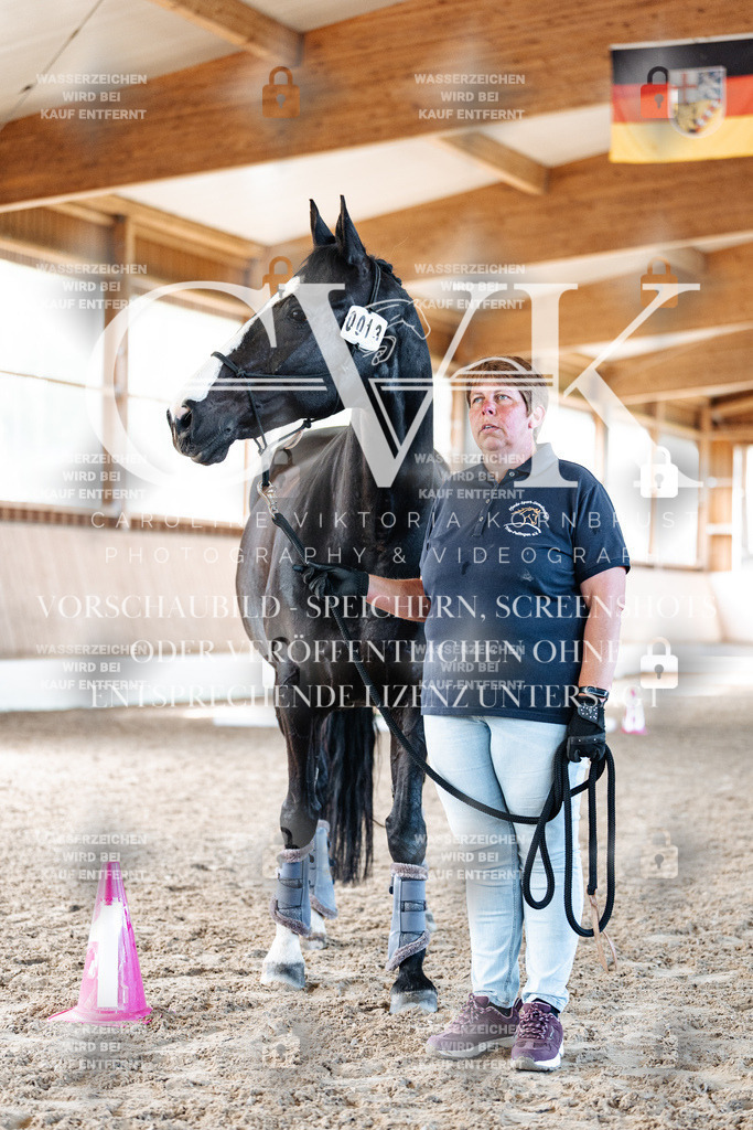 CK906286 | Turnierfotografie Pferdefotografie Trier Rheinland-Pfalz Pferdesport Reitsport Tierfotografie Sportfotografie Pferdevideo Pferdevideografie Equestrianvideography equestrianphotography  - Realisiert mit Pictrs.com