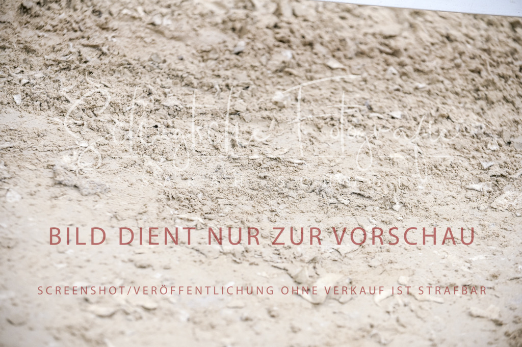 Schugtsche-Aluta25-57.Dressurprf.M1Kand-80 | Schugtsche Fotografie - Realisiert mit Pictrs.com