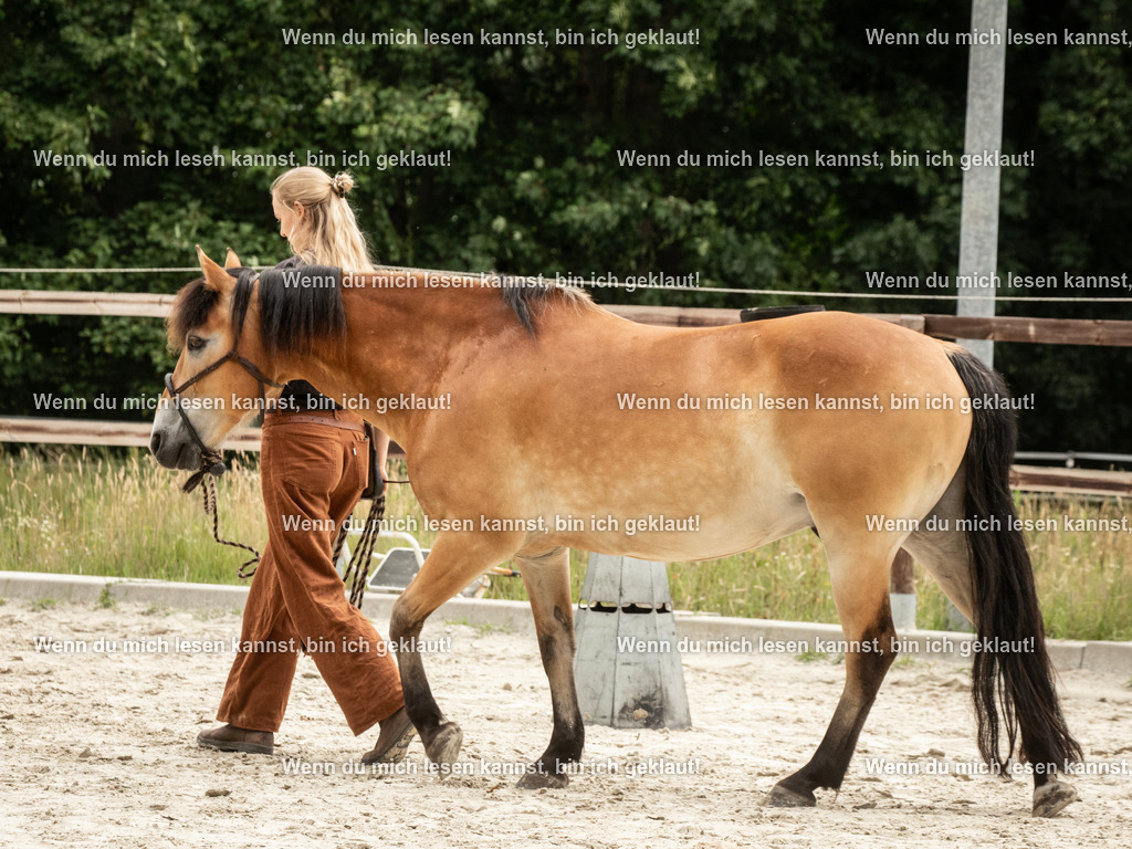 598A6237 | photographylinaismer - Realisiert mit Pictrs.com