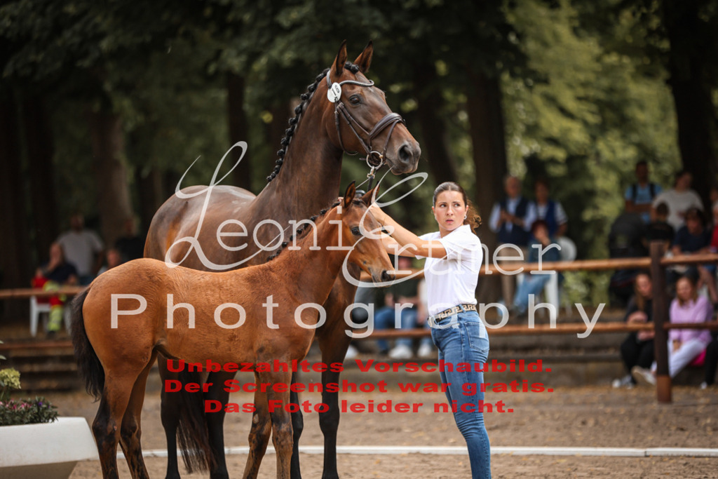 SaFohlen00156 | Leoni Ertmer Photography - Realisiert mit Pictrs.com