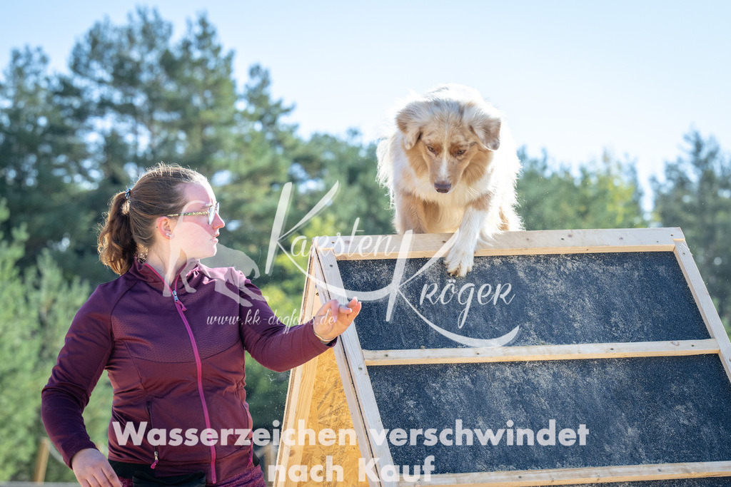 1218_ZZ92781-2 | kk-dogfotos