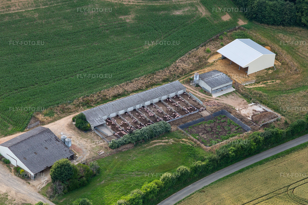 Vue aérienne: Ferme porcine de Cournon avec élevage en plein air à Saint-Michel-de-Chavaignes dans le département Sarthe, France. Photo: IMG_132426.jpg prise le 14/06/2022 par Werner Riehm/FLY-FOTO.eu – Résolution de l'original: 5472 x 3648 px