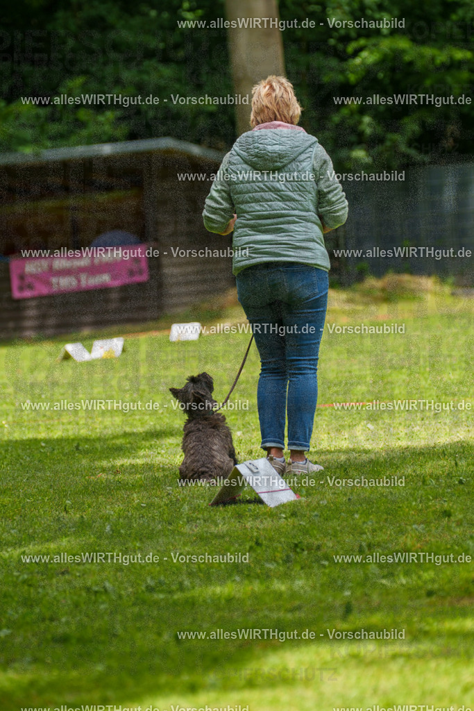 @allesWIRTHgut_Tierfotografie - www.allesWIRTHgut.de - 7R504431 | Professionelle Tierfotografie in Mönchengladbach von Daniel Wirth (allesWIRTHgut). Liebevolle & natürliche Bilder von Hunden & Katzen für unvergessliche Erinnerungen.
