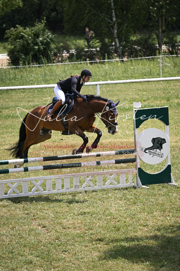 DSC_9530 | Pferde- und Turnierfotografie in Westsachsen. Pferdeportraits, Auftragszeichnungen und intuitive Kunst.