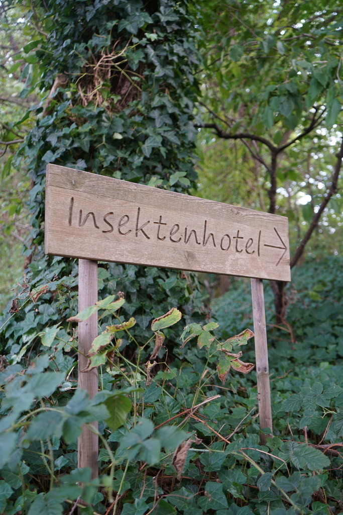 Hinweisschild - Wolf | Ein handgefertigter Wegweiser führt Besucher durch das Grün zum Insektenhotel.Etwas versteckt im Grünen befindet sich in Wolf ein vom Obst- und Gartenbauverein gestaltetes Insektenhotel. Verschiedene Naturmaterialien und zahlreiche kleine Hohlräume bieten Insekten geschützte Nist- und Rückzugsmöglichkeiten. Ein schlichtes Holzschild weist den Weg zu dem naturnah angelegten Bereich. Ganz in der Nähe lädt eine rustikale Sitzgruppe unter einem alten Obstbaum dazu ein, eine Pause einzulegen und die Umgebung in Ruhe zu genießen. - Realisiert mit Pictrs.com