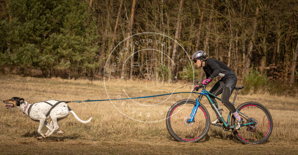 DV3A4244 | Hundefotografie, Tierfotograf, Pfotenfotografie, Fotoshooting Hund, Hunde Portrait, Hundesport, Hundeportraits, Heideshooting, Hunde, Sportfotograf, Hundefotograf, Turnierhundsport, THS,  - Realisiert mit Pictrs.com