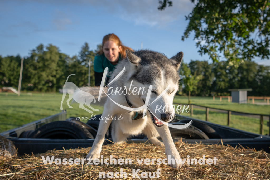 0807_ZZ90379 | kk-dogfotos