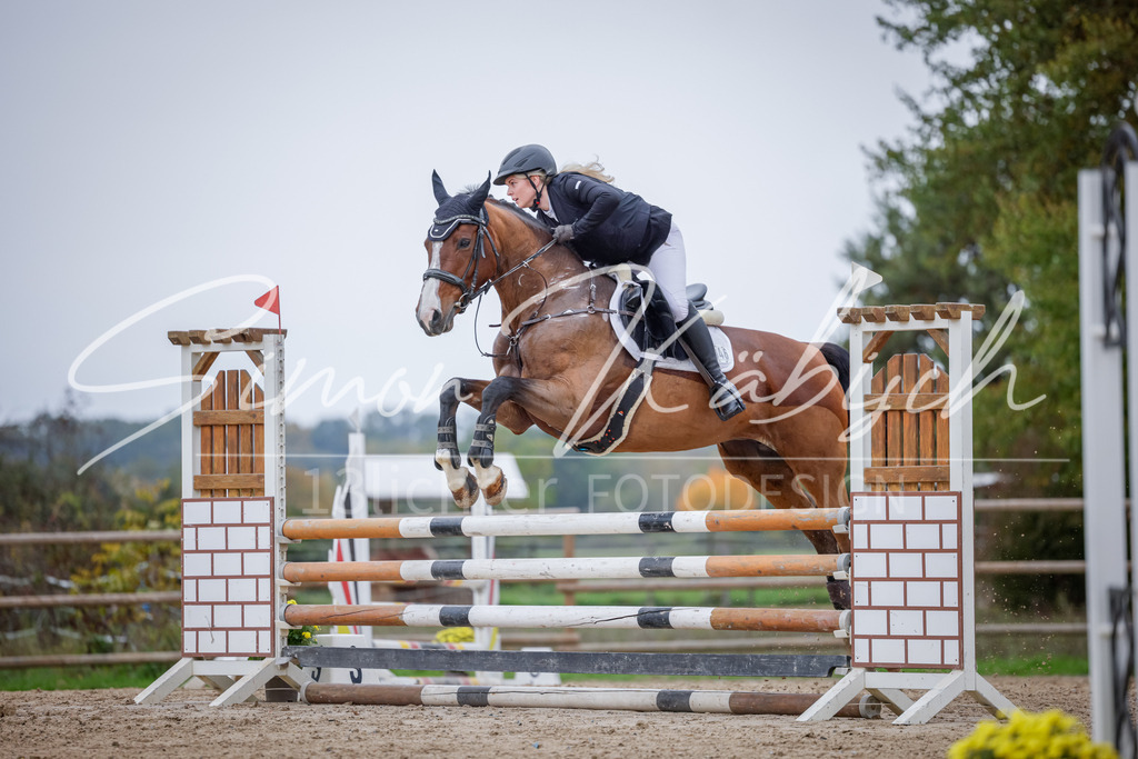 20251012-_3LI3882 | Tierfotografie Pferde, Hunde, Katzen, Haustiere.
Turnierfotografie Reitturniere, Reiten, Springreiten, Dressur in Hanau, dem Main-Kinzig-Kreis und dem Rhein-Main- Gebiet um Frankfurt
