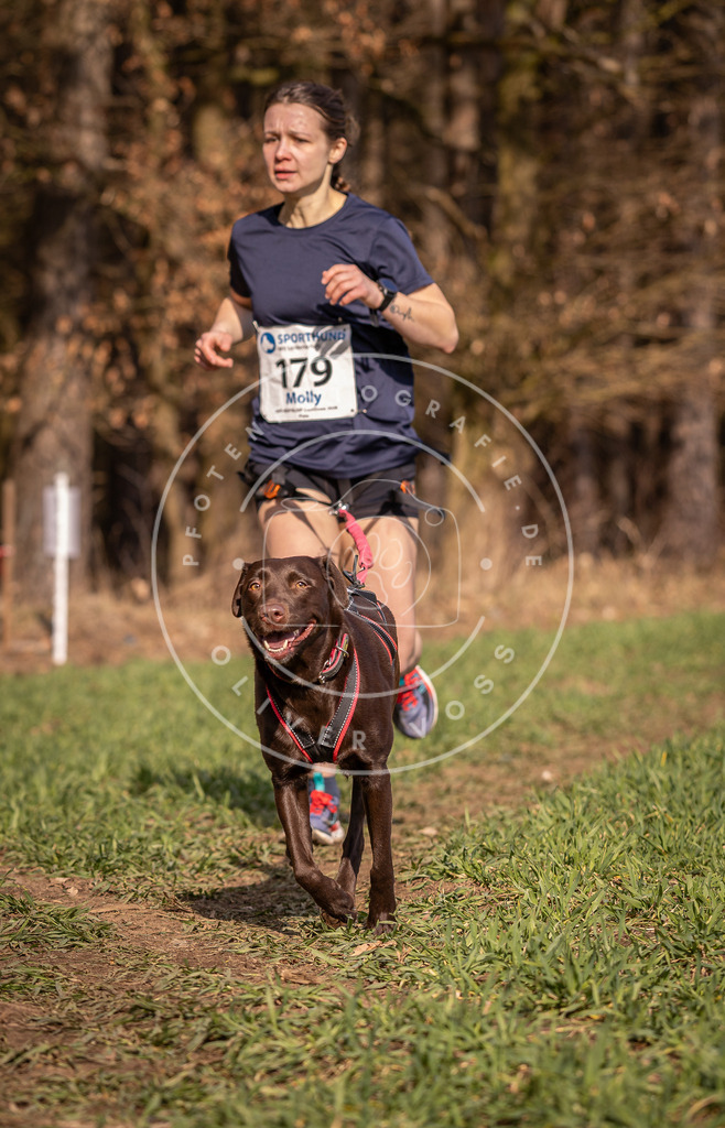 DV3A6464 | Hundefotografie, Tierfotograf, Pfotenfotografie, Fotoshooting Hund, Hunde Portrait, Hundesport, Hundeportraits, Heideshooting, Hunde, Sportfotograf, Hundefotograf, Turnierhundsport, THS,  - Realisiert mit Pictrs.com