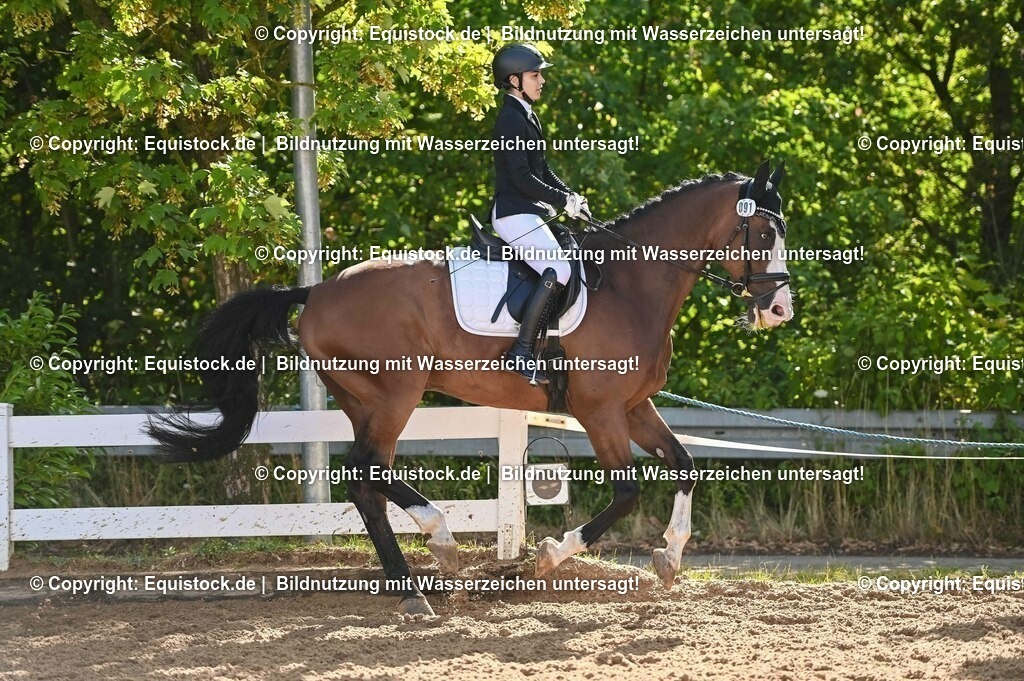 20230716_04_Dressurreiterprüfung Kl.A_0152 | equistock