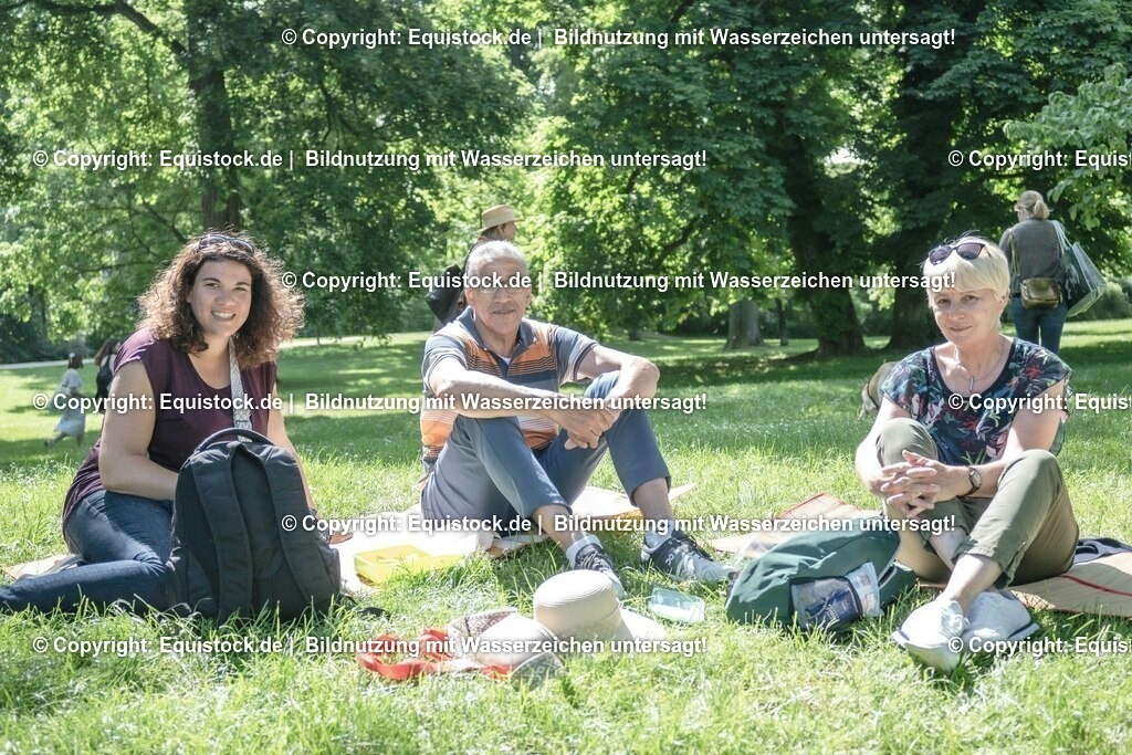 ZFC_3939 | equistock