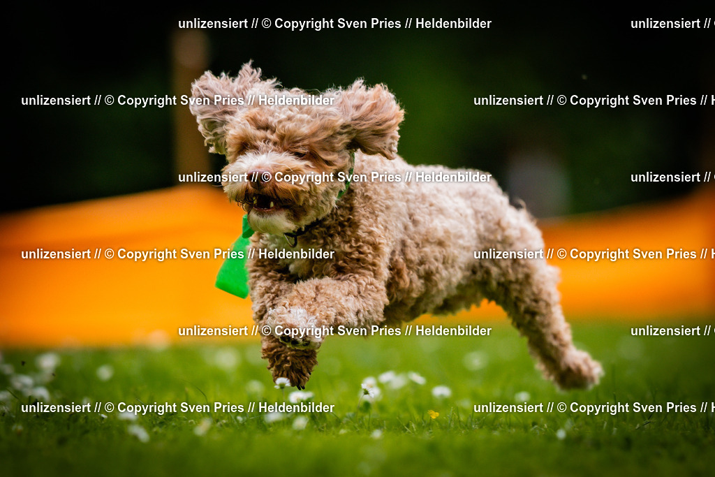 Sven Pries | 2025-05-29 - Pudelrennen KA-Durlach - Realisiert mit Pictrs.com