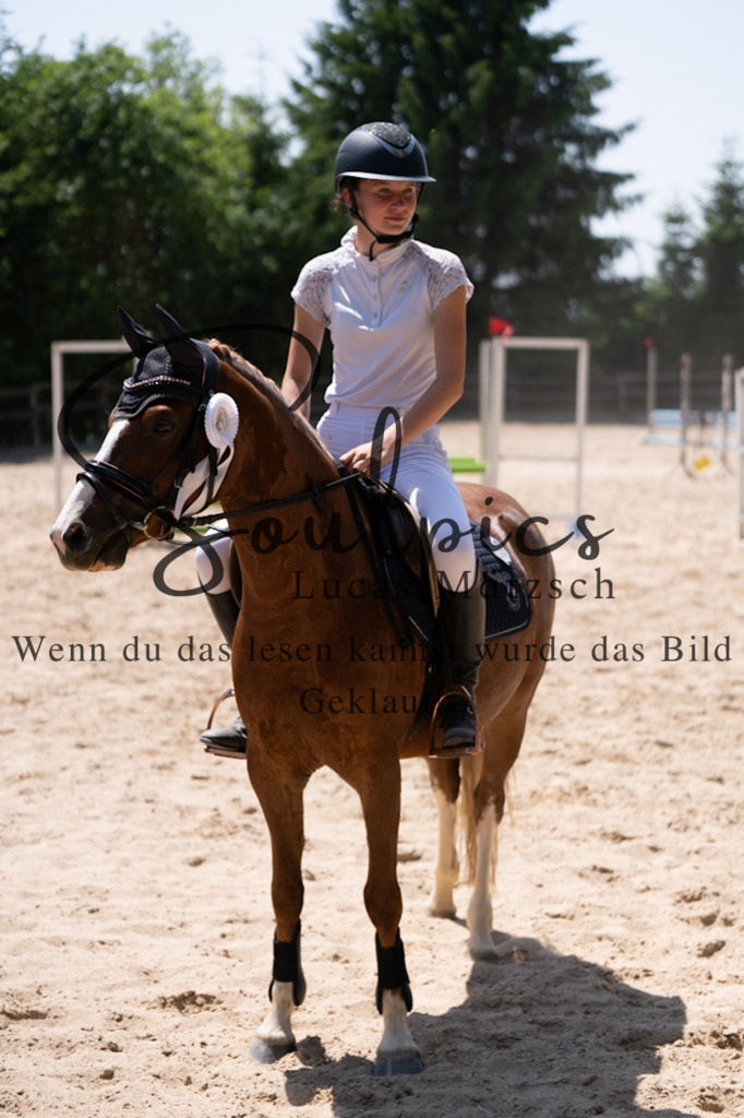 A7V08416 | Pferdefotograf