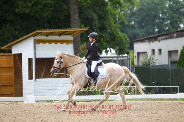 DKP42065 | Turniersportfotografie; Pferdefotografie; Dressurfotografie