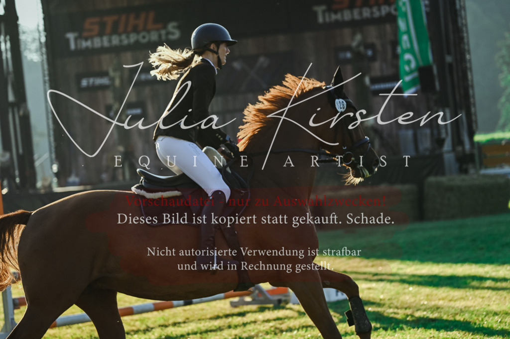 DSC_3948 | Pferde- und Turnierfotografie in Westsachsen. Pferdeportraits, Auftragszeichnungen und intuitive Kunst.