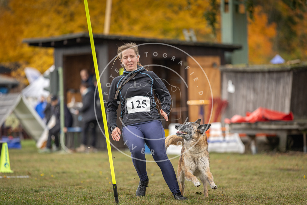 Pfotenfotografie_DV3A6659 | Hundefotografie, Tierfotograf, Pfotenfotografie, Fotoshooting Hund, Hunde Portrait, Hundesport, Hundeportraits, Heideshooting, Hunde, Sportfotograf, Hundefotograf, Turnierhundsport, THS,  - Realisiert mit Pictrs.com