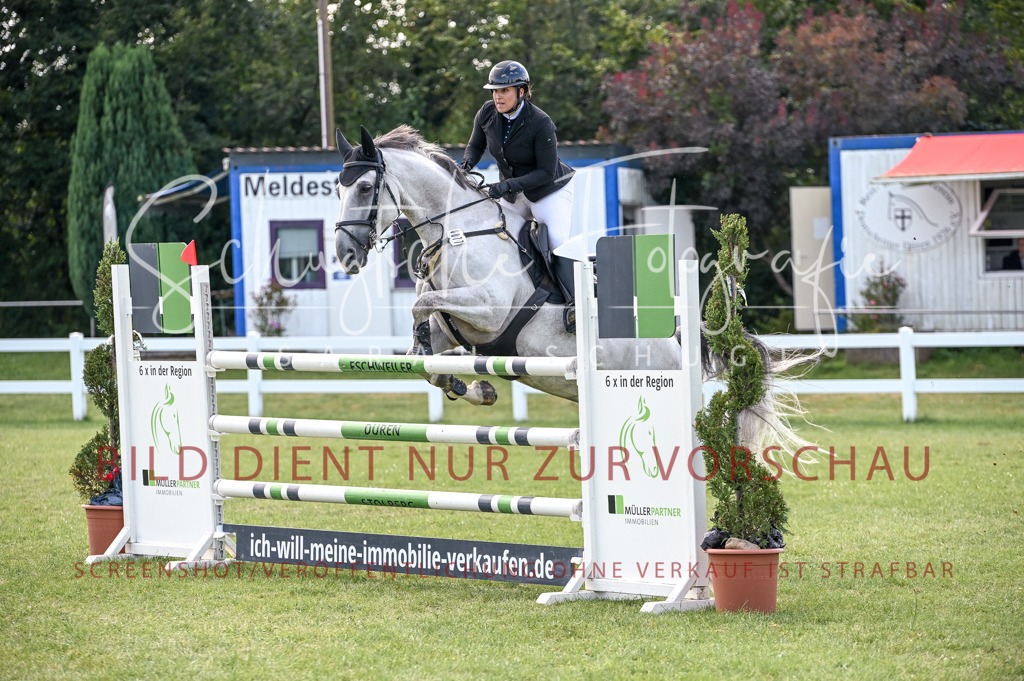 Schugtsche-Düren.2024-10.Springprf.M_-58 | Schugtsche Fotografie - Realisiert mit Pictrs.com