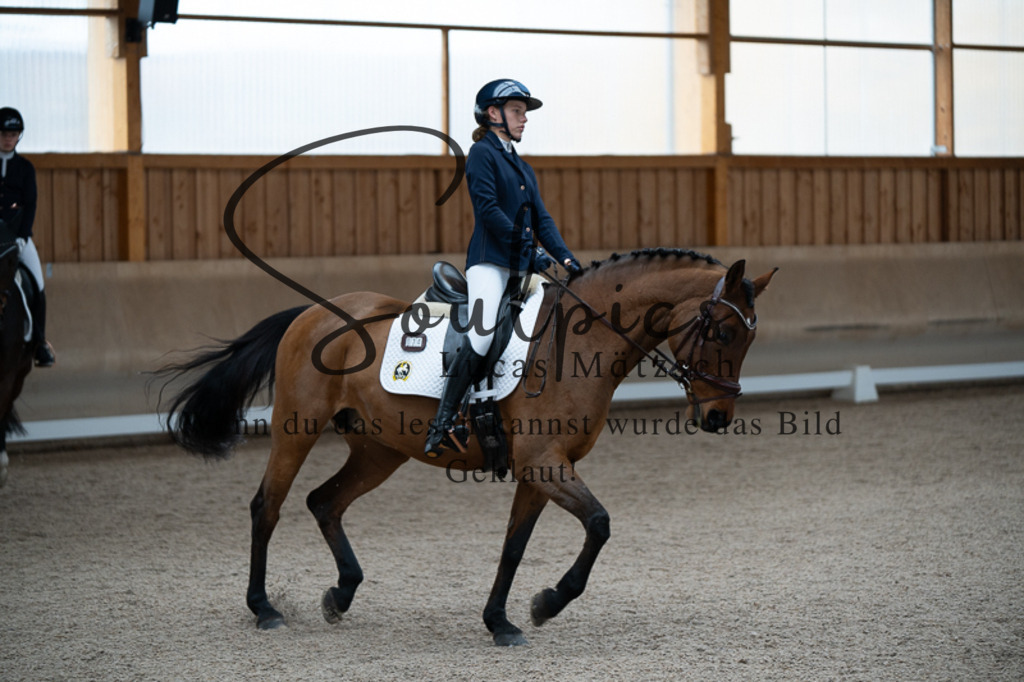 A7V02580 | Pferdefotograf