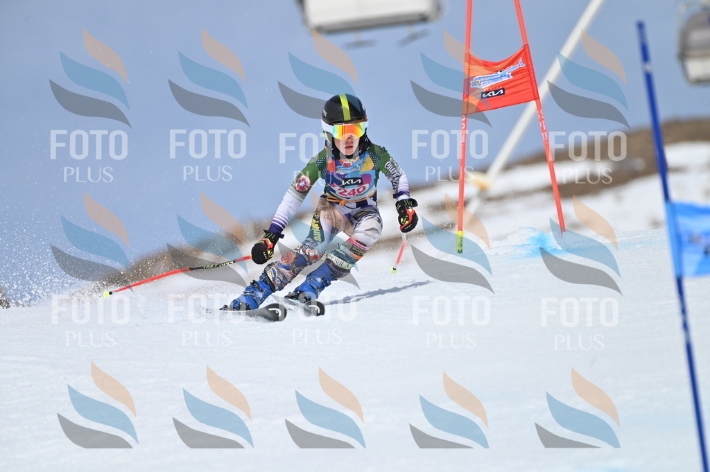 BGV_1695 | holidayphoto