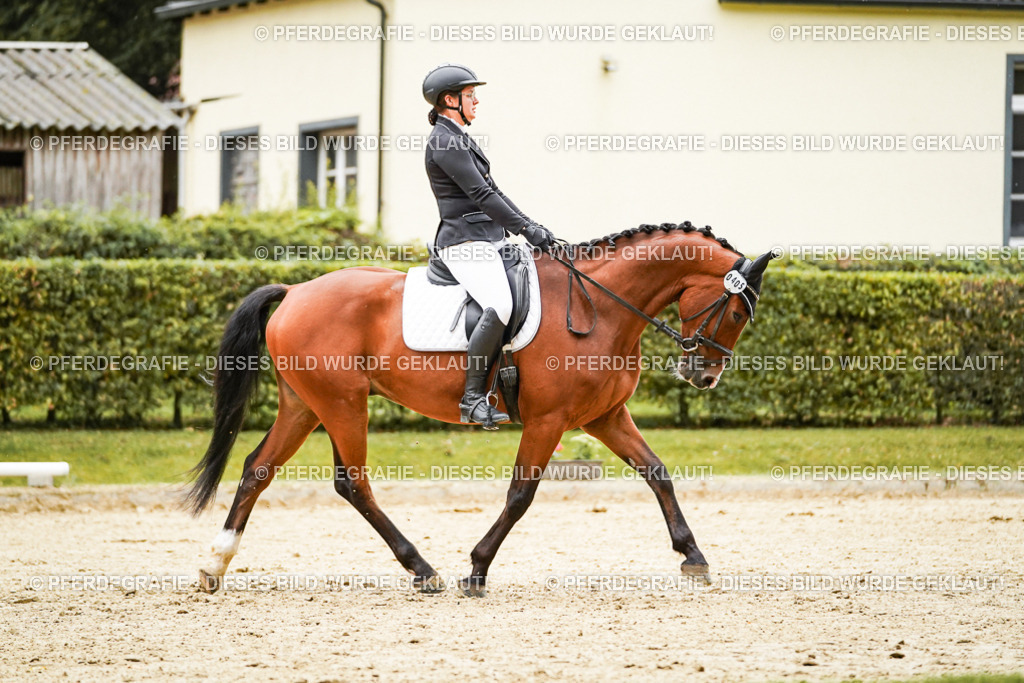 DSC07193 | Pferdegrafie