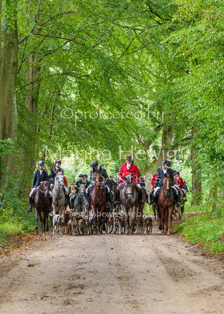 Jagd Perdoel 26 Sony-03882_MarinaHewig | Fotografie, FotoArt, PferdesportArt, Pferdesportfotografie, Landschaftsfotografie, Reisefotografie, Reise, Pferde - Realisiert mit Pictrs.com