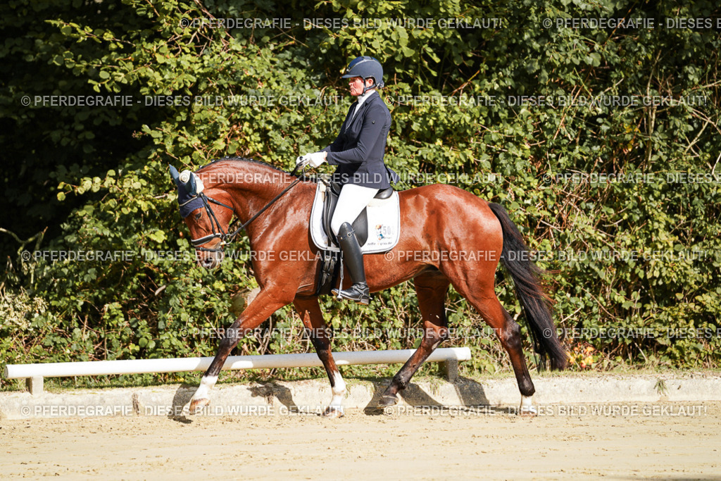 DSC07621 | Pferdegrafie