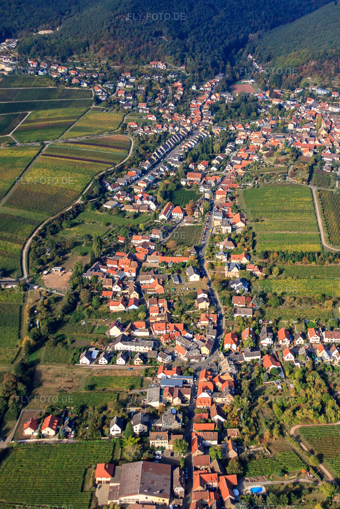 Luftbild: Kurpfalzstraße Loblocher Straße, Hainstr im Ortsteil Mußbach in Neustadt im Bundesland Rheinland-Pfalz in Deutschland. Foto: IMG_22048.jpg vom 15.10.2009 durch Werner Riehm/FLY-FOTO.de