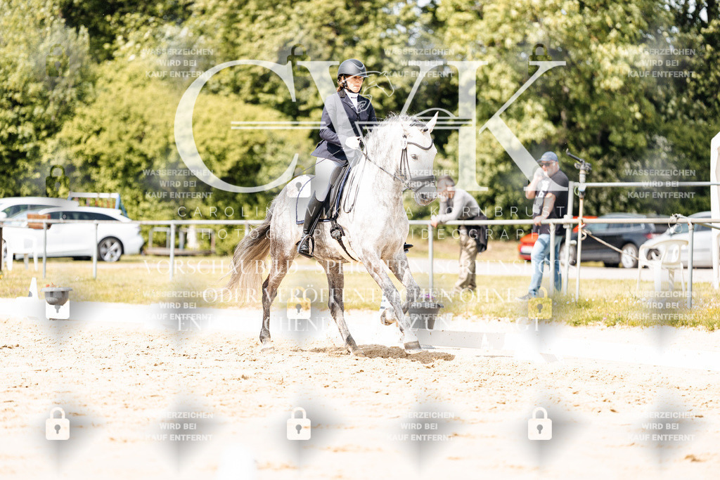 CK901620 | Turnierfotografie Pferdefotografie Trier Rheinland-Pfalz Pferdesport Reitsport Tierfotografie Sportfotografie Pferdevideo Pferdevideografie Equestrianvideography equestrianphotography  - Realisiert mit Pictrs.com