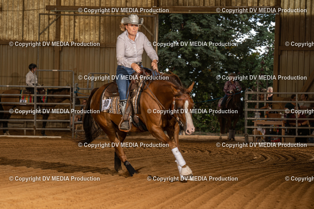 NID02258 | dv-media-shop - Realisiert mit Pictrs.com