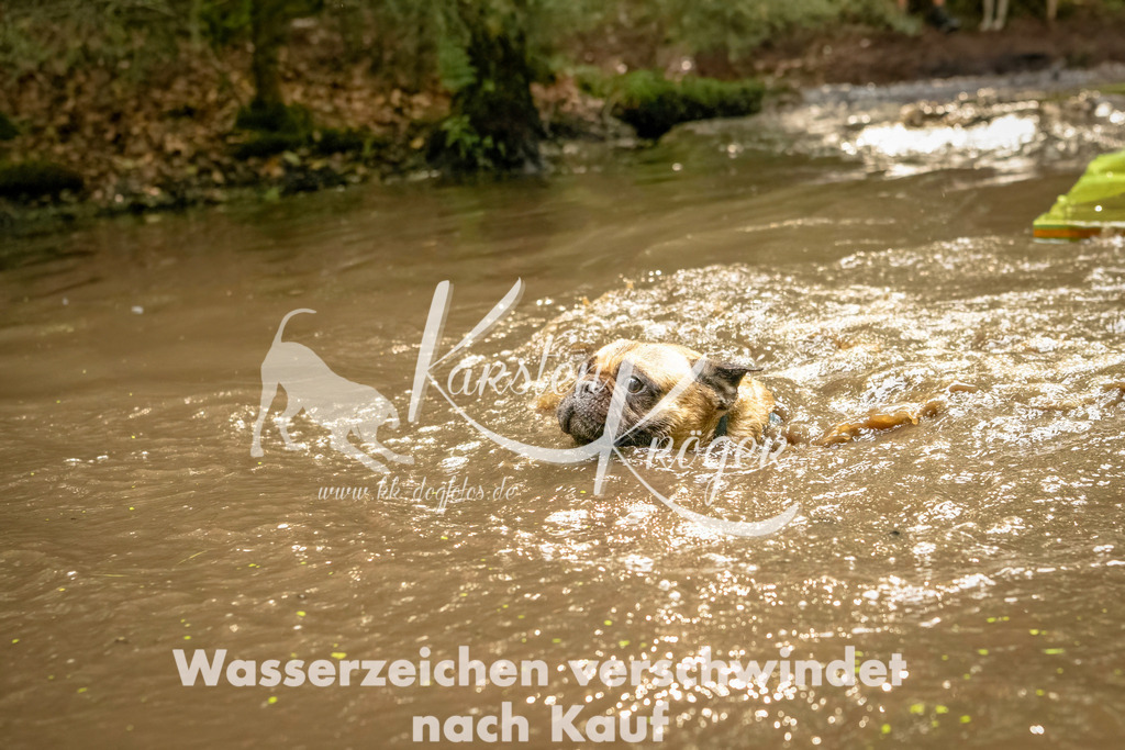 1414_ZZ91693-Bearbeitet | kk-dogfotos