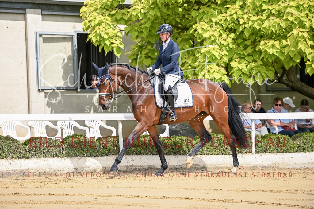 Schugtsche-Aluta25-48.Reitpferfdeprf.-23 | Schugtsche Fotografie - Realisiert mit Pictrs.com