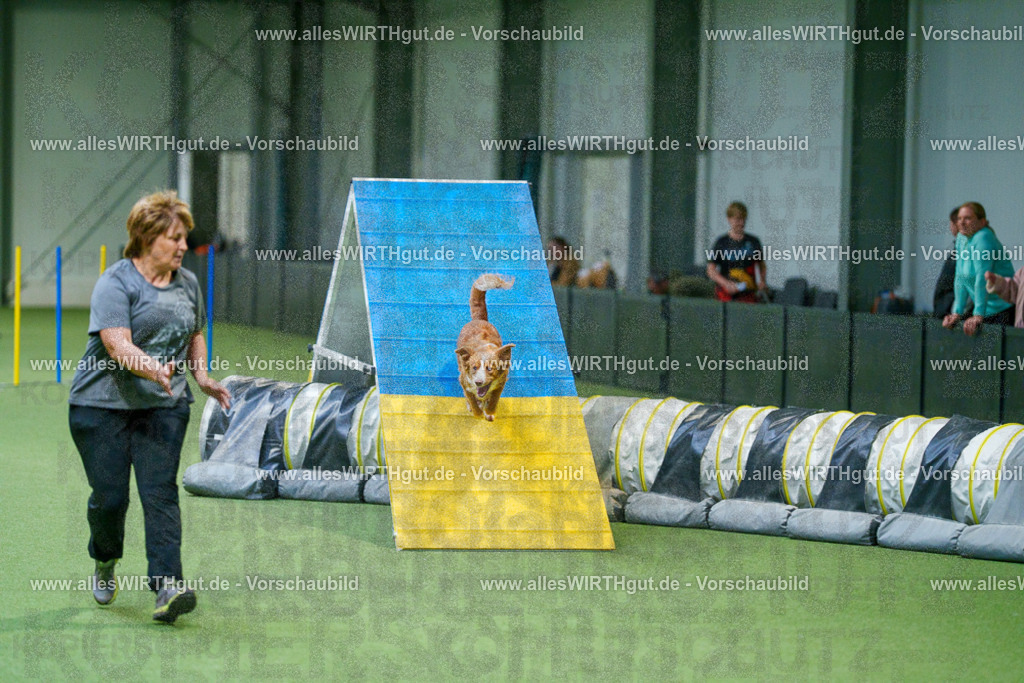@allesWIRTHgut_Tierfotografie - www.allesWIRTHgut.de - 2604250824-7R506444 | Professionelle Tierfotografie in Mönchengladbach von Daniel Wirth (allesWIRTHgut). Liebevolle & natürliche Bilder von Hunden & Katzen für unvergessliche Erinnerungen.