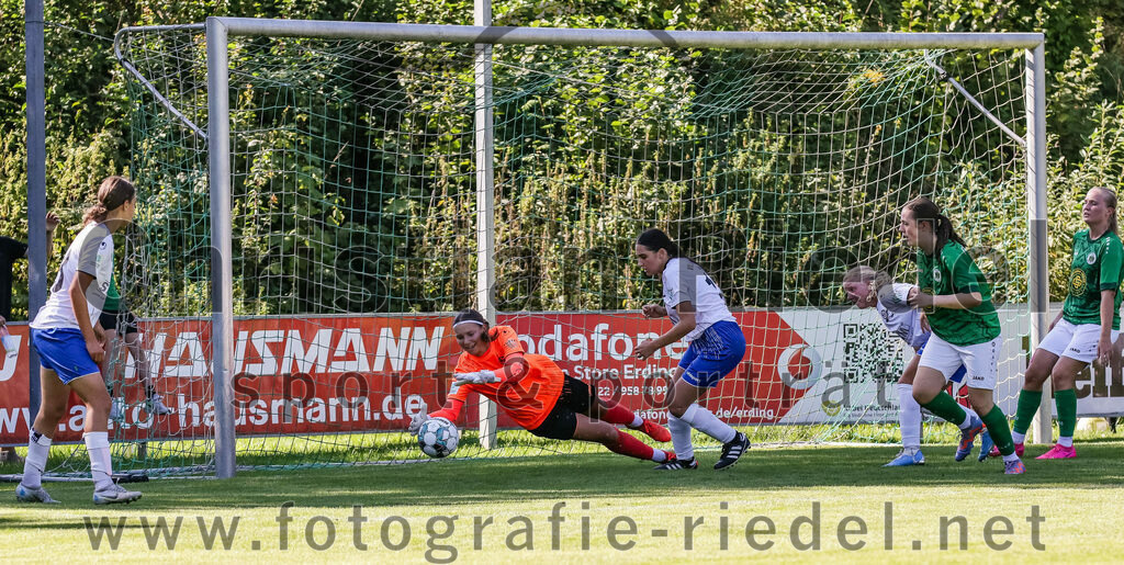 2023-09-16_030_FC_Forstern_gegen_VfL_Sindelfingen_Ladies_I | Forstern, Deutschland, 16.09.2023:
Fußball, B-Juniorinnen-Bundesliga Süd 2023 / 2024, 2. Spieltag, FC Forstern gegen VfL Sindelfingen Ladies I, Endergebnis: 4:1

Johanna Buck (VfL Sindelfingen Ladies I, #23), Rosanna Schmauder (VfL Sindelfingen Ladies I, #1), Sena Killi (VfL Sindelfingen Ladies I, #18)

Foto: Christian Riedel / fotografie-riedel.net