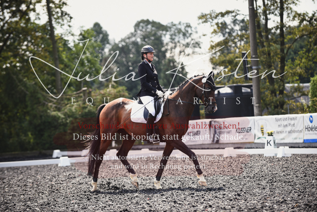 DSC_4042 | Pferde- und Turnierfotografie in Westsachsen. Pferdeportraits, Auftragszeichnungen und intuitive Kunst.